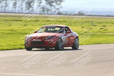 media/Feb-25-2024-CalClub SCCA (Sun) [[3c767ec4f8]]/Group 7/Race (Start Finish)/